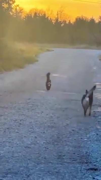 Amigos &amp;lt;3