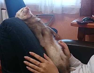 sleepy