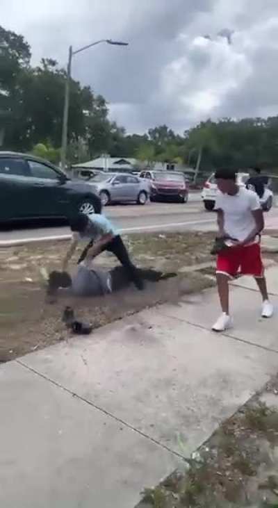 Fight near school