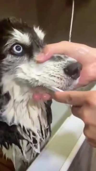 He&rsquo;s plotting his revenge