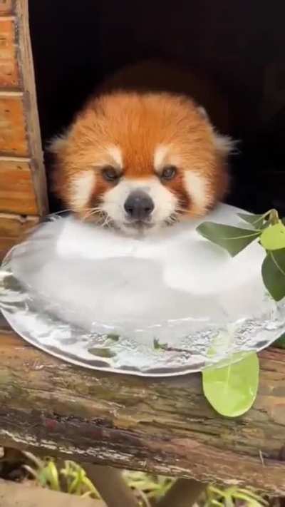 Ahh..