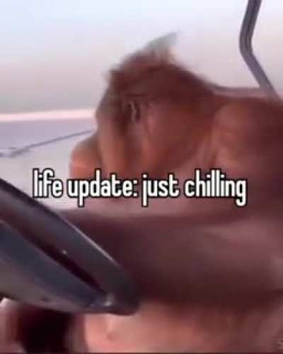 Moldy chills