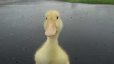 &amp;gt;:3