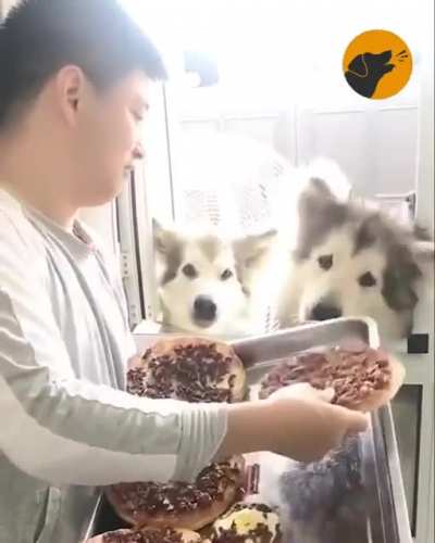 Now with pizza!