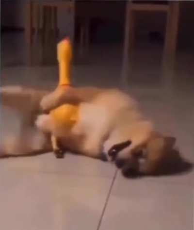 Maybe Maybe Maybe