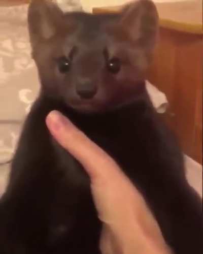 Сломался