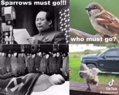 YOU must go