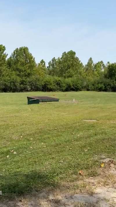 Shooting range? I&rsquo;ll lay down here