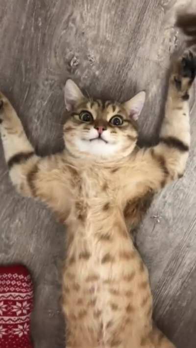 Justchilling