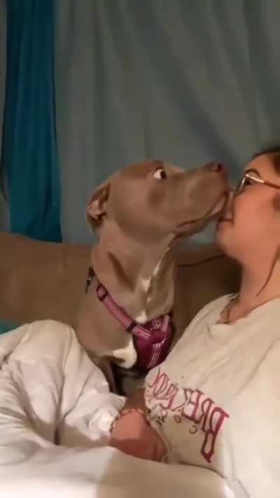 Say "woof" one more time, I dare you, I double dare you!
