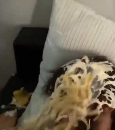 That was my pizza yo