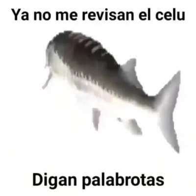 😈😈😈