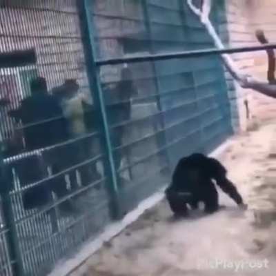Maybe Maybe Maybe