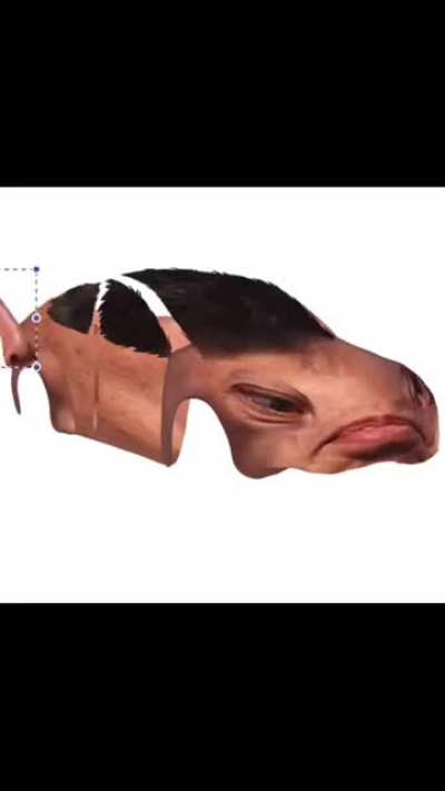 New Model