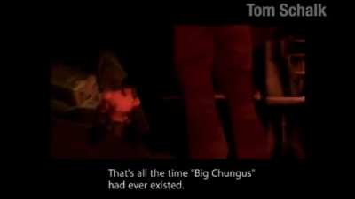 Bugs Cumgus