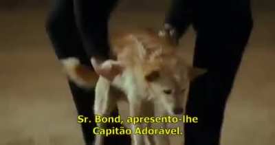 This scene from "Meet the Spartans"