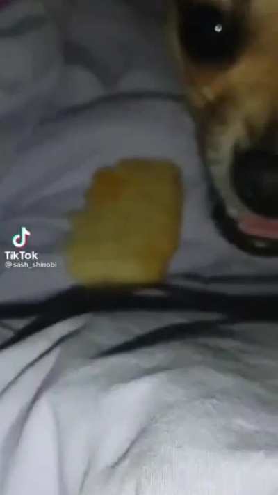 Premium pizza crust