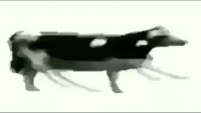 they added cow physics to vr
