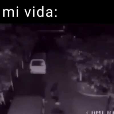 literalmente yo