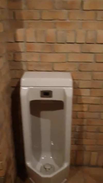 The Japanese attempt an American-themed toilet