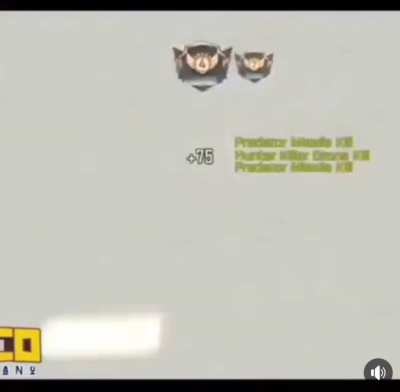 Predator missile
