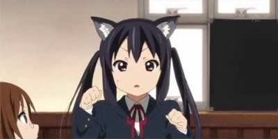 Cat transformation