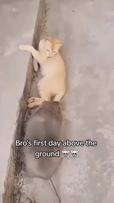 This unit
