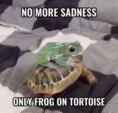 No more sadness