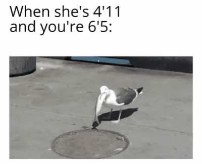 Only Fictional