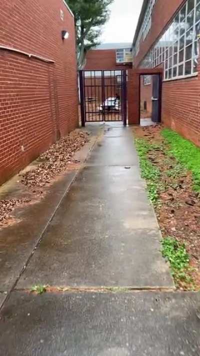 I&rsquo;m 15 and this is yeet