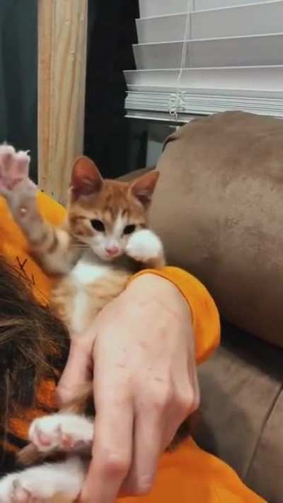 Disc🍊theque
