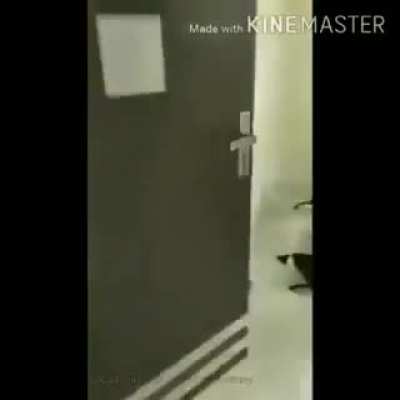 Dale a la piñata