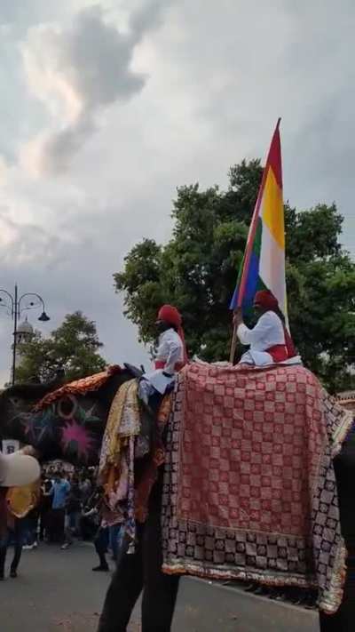 These pride parades are getting out of hand 😤😤