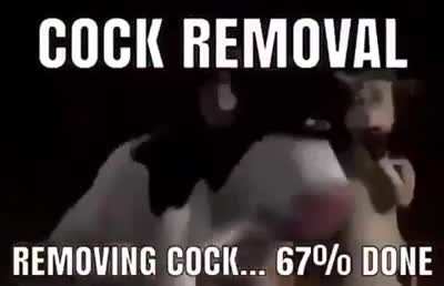 An