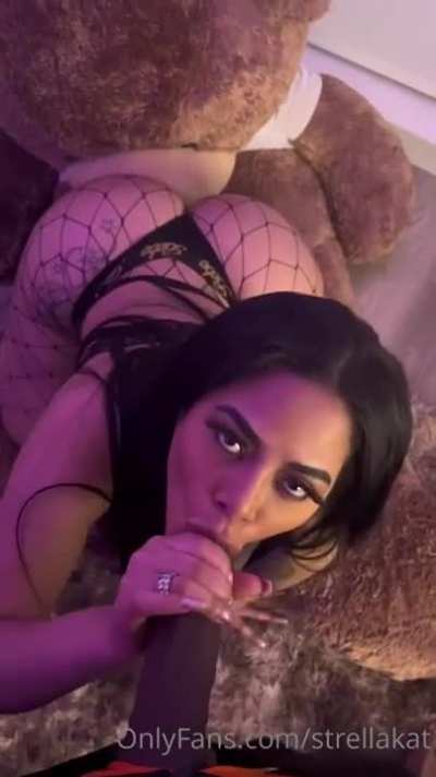 Phat Kat 🍑