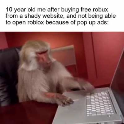 computer viruses
