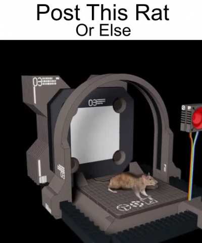 Post this Rat ... or Else