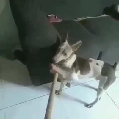 Quando o culpado &eacute; mais forte que o acusador: