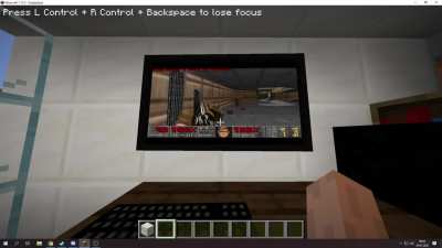 I played DOOM in Minecraft with VMComputers mod.