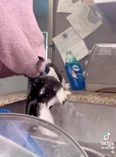 Bath time