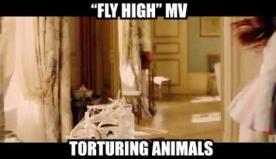 Dreamcatcher/MINX music videos in general