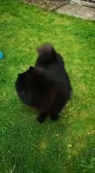 He tries his best
