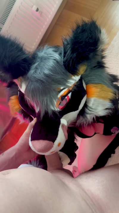 Who is trying this foxy maw next? ;) [Foxgirl_Nova][M&F]