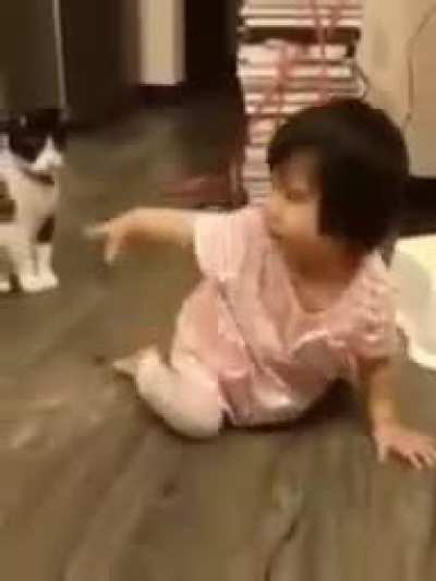 Cat acting innocent