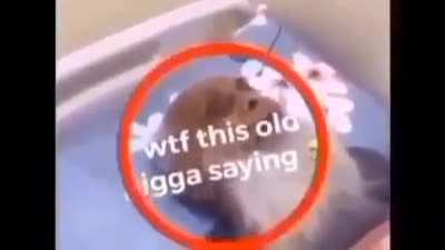 bruh