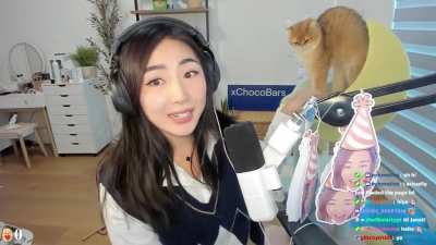 Two cuties in one stream, Janet and her cat &hearts;️