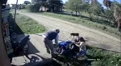 No tomen si van a manejar