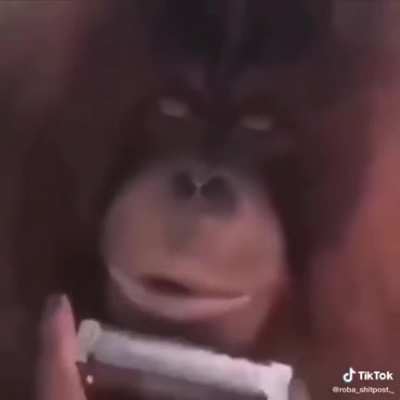 Up para que salga en su video