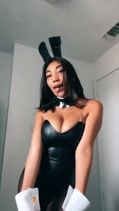 Bunny