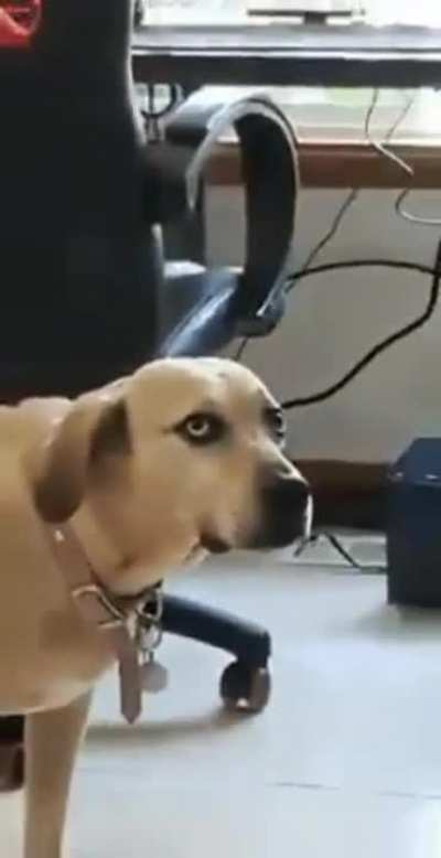 Judgmental Stare
